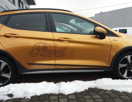 fiesta mk8..jpg
