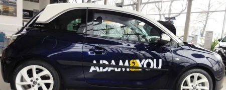 adam2.jpg