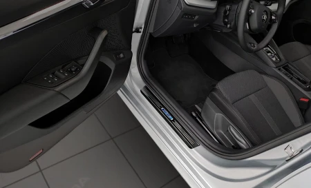 2 19045 SKODA OCTAVIA IV KOMBI 2019- NP2L.jpg