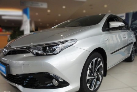 auris fl3.jpg