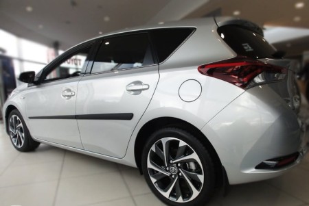 auris fl2.jpg