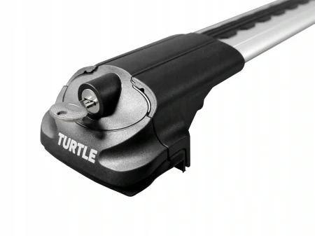 turtle air1 łapa1.jpg