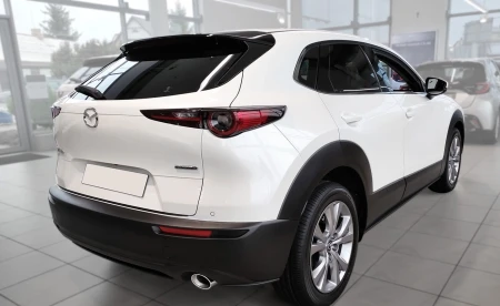 2 40306 MAZDA CX-30 2019- TL.jpg