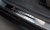pol_pl_Nakladki-progowe-do-Renault-Megane-E-Tech-2661_6.jpg
