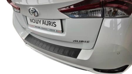 auris.png