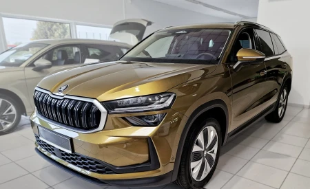 2 19017 SKODA KODIAQ II 2024- AL.jpg