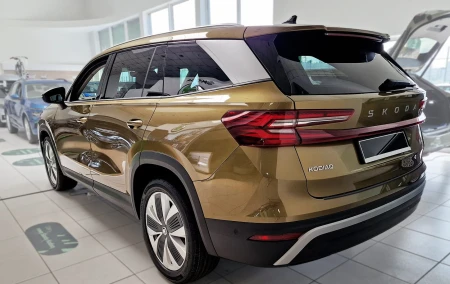 2 19018 SKODA KODIAQ II 2024- TL.jpg