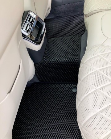 EVA MERCRDES POGLADOWE TYŁ.jpg