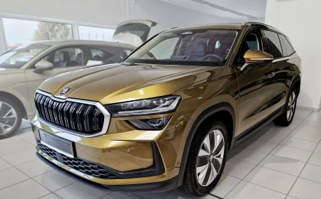 2 41101 SKODA KODIAQ II 2024- AL.jpg