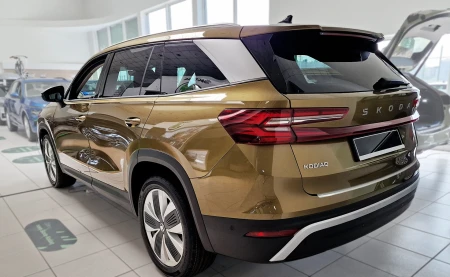 2 41101 SKODA KODIAQ II 2024- TL.jpg