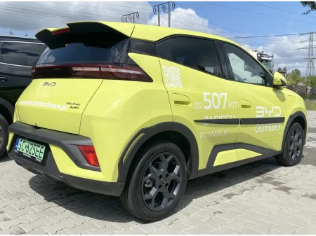 byd-dolphin-surf-listwy-boczne (4).webp