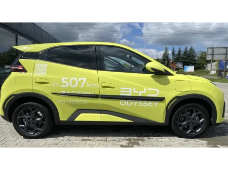 byd-dolphin-surf-listwy-boczne (2).webp