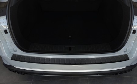 2 40401 OMODA 9 2024- LB3L.jpg