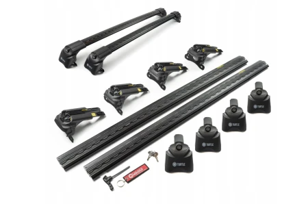 crv turtle 2 black.jpg