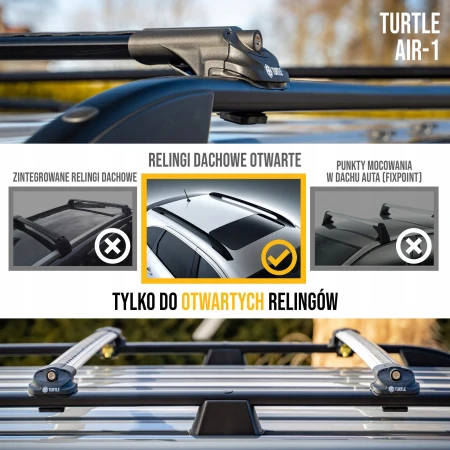 TURTLE AIR1 1.jpg