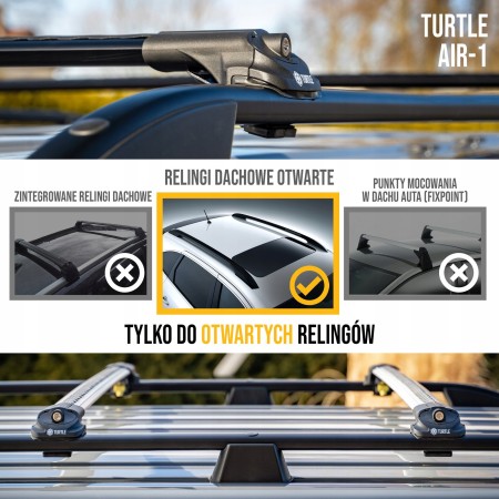 TURTLE AIR1 1.jpg