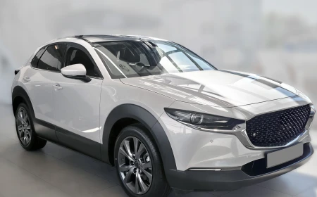 2 51237 Mazda CX-30 2019- AL.jpg