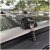 be22ccce02aed5ae57a559455c7b6843