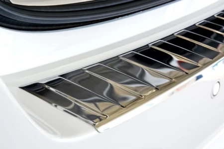 auris3.jpg
