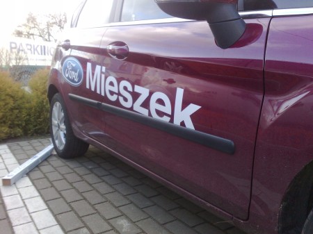 fiesta mk7..jpg