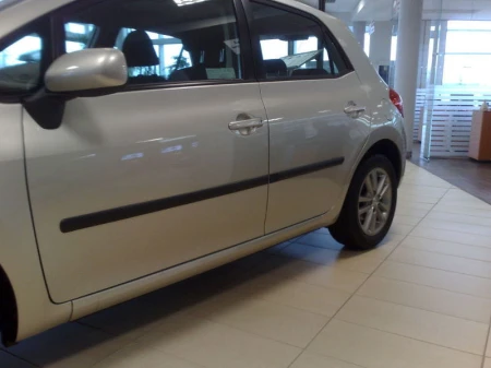 auris1.jpg