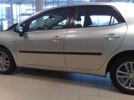 auris2.jpg