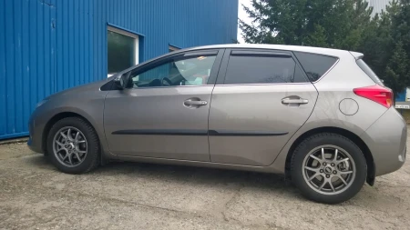 auris3.jpg