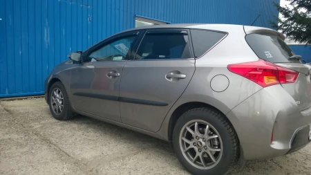 auris4.jpg