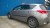auris4.jpg