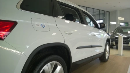 kodiaq 3.jpg