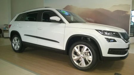 kodiaq 4.jpg