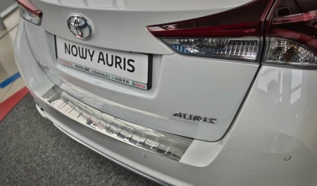auris p.png
