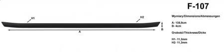 f107.jpg